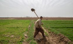 المالية تعلن صرف مستحقات الفلاحين لمحصولي الحنطة والشلب لسنة 2025 بقيمة 500 مليار دينار الدفعة السادسة